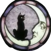 パパラッチの画像