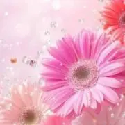 MOEの画像