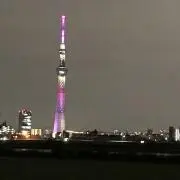 miko.の画像