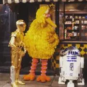 TOY  999の画像