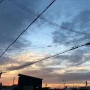 ＊森の音＊の画像