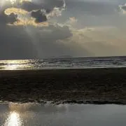 M Mの画像