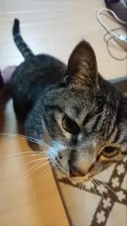 るーの画像