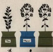 mayukiの画像