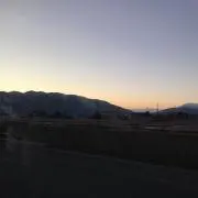 わいこの画像