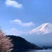 まぁーの画像