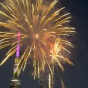コッキーの画像
