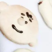 coco.97.ha