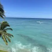 mikaの画像