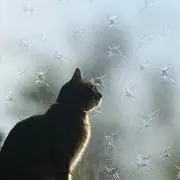 mamitaの画像