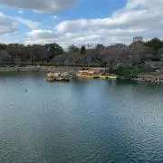 尾崎