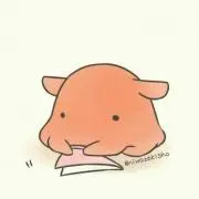めんの画像
