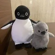 あんず【6/27-7/4発送不可】の画像
