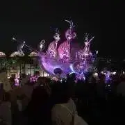 クルミの木⭐︎お花の再販お休み中の画像