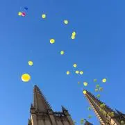 凛としての画像