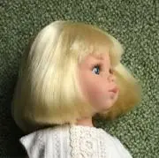 ごんの画像