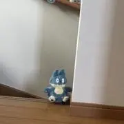 かわべの画像