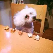 ボン