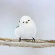 レッグウォーマーの画像