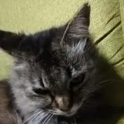miyaの画像