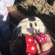 ユニ(ง ˙˘˙ )วユニの画像