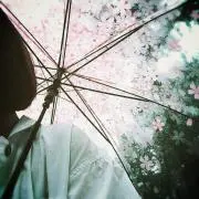 翠簾