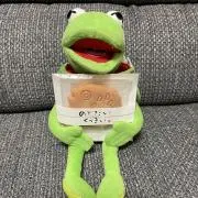 カエルの画像