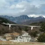 りずむねおの画像