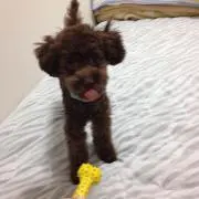 TOMI☆