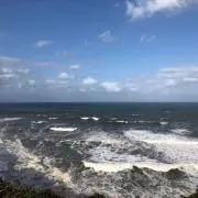 MICの画像
