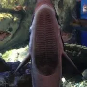 靴の裏の画像