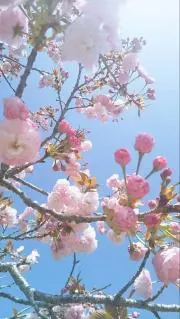 なっつの画像