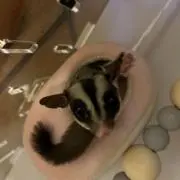 との画像