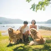 innu_to_lanternの画像