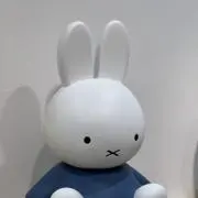 ymの画像