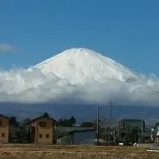 キティ