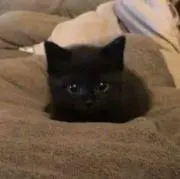 なぎ