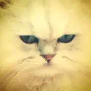 ＊＊ふじ＊＊の画像