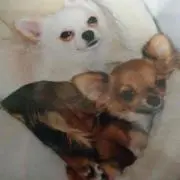 ☆鈴美☆