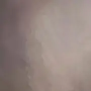 VMVMの画像
