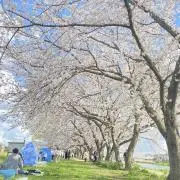 ゆみ