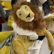 タカヤマ