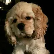 pauloくん
