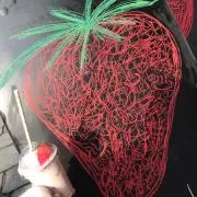 ももの画像