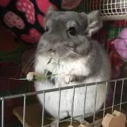 ゆう