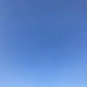 りんの画像