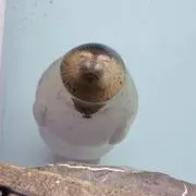 うーたん(^_^)v