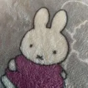春夏秋冬の画像