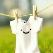 さくらの画像