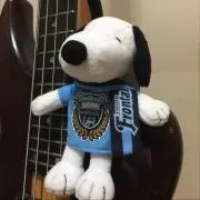 きゃんの画像